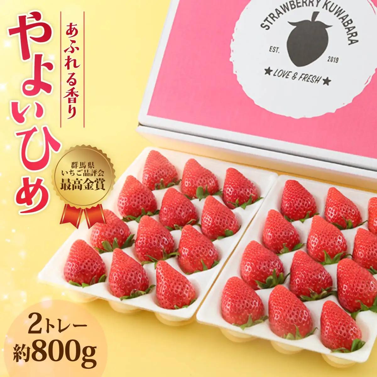 いちご やよいひめ 800g いちご品評会最高金賞 化粧箱入り