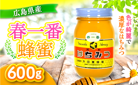 はちみつ 春一番蜂蜜600g[APAE002] はちみつ