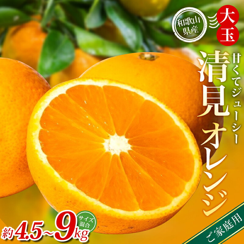 【ふるさと納税】 【家庭用】 森本農園の手選別 大玉清見オレンジ 約4.5kg 7kg 9kg 和歌山県産 サイズ混合 【北海道・沖縄・離島配送不可】【2026年2月上旬～5月中旬頃に順次発送】【BV-mrmt074-075-076】