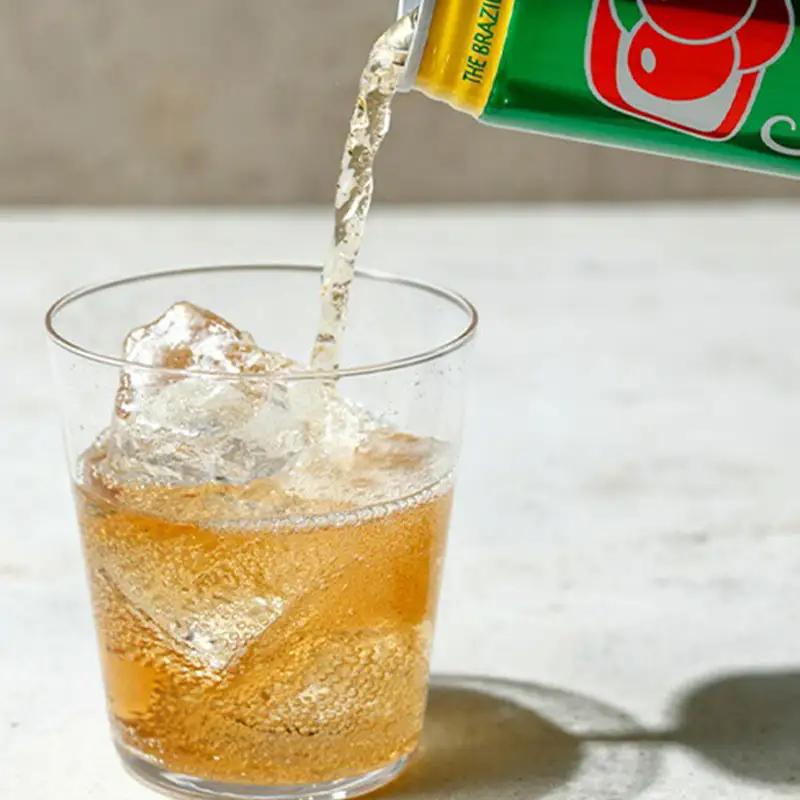 ガラナ アンタルチカ 350ml×24本 炭酸飲料 ガラナ