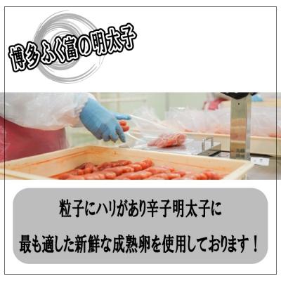 ふるさと納税 新宮町 千両華味.無着色辛子明太子(375g)【明太子】【辛子明太子】AC314 |  | 01