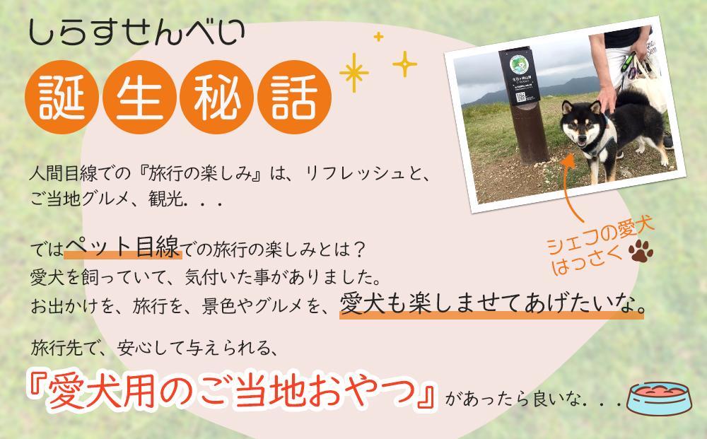 しらす せんべい ( 愛 犬 ワン 友 無添加 無塩 おやつ ) 5P ペット REICAFE 【Rc16】