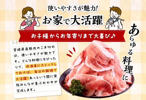 宮崎県産 豚こま切れ (250g×20パック) 合計5kg
