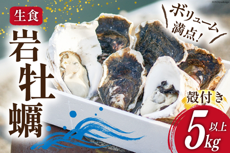 【期間限定発送】 岩牡蠣 生食 5kg 以上 [天洋丸 長崎県 雲仙市 item2191] 牡蠣 かき カキ 冷凍 いわがき 岩がき 殻付 殻付き 先行予約