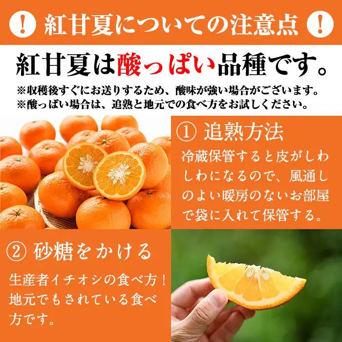 ＜先行予約受付中！2027年1月中旬以降順次発送予定＞訳あり紅甘夏(約20kg) 国産 鹿児島県 阿久根市 果実 果物 フルーツ 柑橘 紅甘夏 みかん ミカン 期間限定 数量限定【桐野柑橘株式会社】a