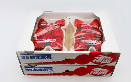 博多あまおう6パック（冬） 250g～270g×6パック 合計約1500g～1620g あまおう いちご 苺 イチゴ フルーツ 果物 くだもの【2025年12月上旬-2026年1月下旬発送予定】