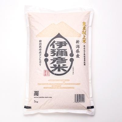 ふるさと納税 弥彦村 【伊彌彦米とパックごはんセット】精米5kg×1袋 パックごはん2パック ブランド米 新潟県 弥彦村 |  | 01