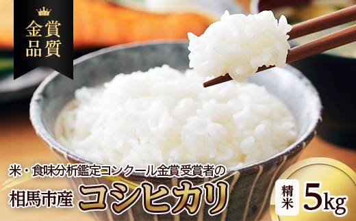 相馬市産 コシヒカリ 精米 5kg  米 お米 ブランド米 銘柄米 備蓄 日本米 こしひかり コメ ごはん ご飯 食品 FAI-0059