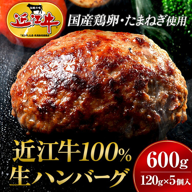 【ふるさと納税】近江牛 生ハンバーグ 120g×5個入