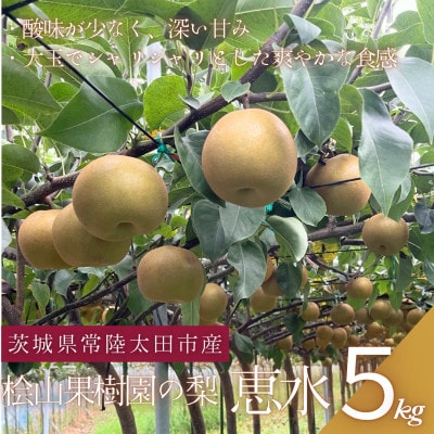 【先行受付】2026年9月順次発送 桧山果樹園 茨城県 ブランド梨 恵水5kg【配送不可地域：離島・沖縄県】