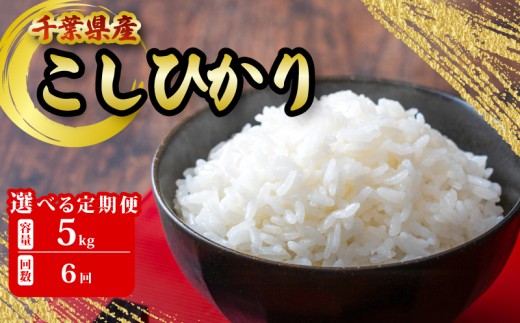 千葉県産 こしひかり 5kg 6ヶ月 定期便 米 こめ ご飯 おこめ 千葉県産 ライス ブランド米 精米 白米 風味 お米 美味しいごはん おにぎり 直送 家庭用 お試しサイズ 送料無料 ギフト 贈答用 人気 おすすめ こだわり 人気米 千葉米 ふっくら 甘い つややか 朝食 昼食 夕食 お取り寄せ お裾分け ふるさと納税 ふるさと納税お米 ふるさと納税米 千葉県 銚子市 根本商店