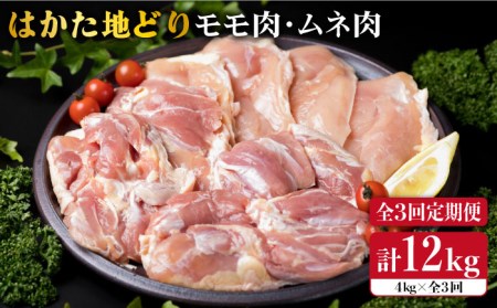 【全3回定期便】はかた地どり モモ肉 ムネ肉セット 4kg×3回《糸島》【糸島ミートデリ工房】[ACA157]