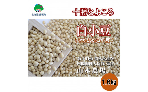 
山本農場 十勝とよころの小豆 きたほたる小豆 1.6ｋg[№5891-0462]
