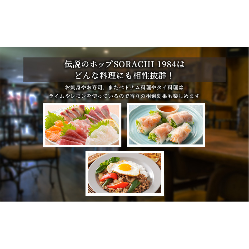 ◆9ヶ月定期便◆上富良野町発祥！伝説のホップ「ソラチエース」使用【SORACHI 1984】350ml×12缶 北海道 上富良野町 ソラチ1984 お酒 酒 飲み物 ビール 地ビール サッポロビール 