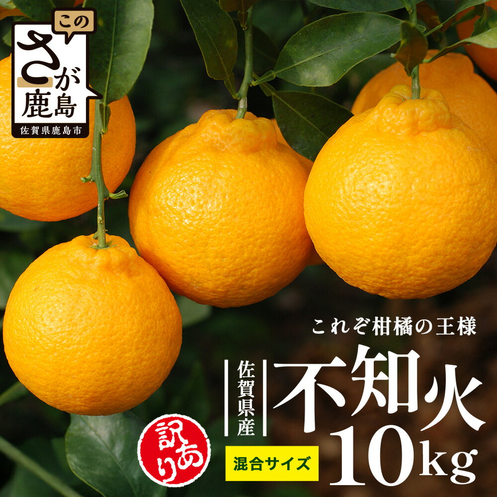 【ふるさと納税】【訳あり】不知火 約10kg 佐賀県産 | ふるさと納税 不知火 完熟 しらぬい デコポンと同品種 柑橘 みかん フルーツ 果物 くだもの 果実 旬 新鮮 訳アリ 規格外 お取り寄せ グルメ ふるさと 人気 おすすめ 佐賀県 鹿島市 送料無料 B-896