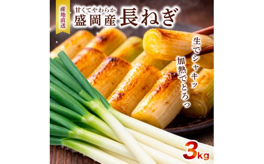 長ネギ 3kg 岩手県盛岡市産 ねぎ 白ネギ 葱 野菜 新鮮 国産 産地直送 農家直送 ながねぎ 白ねぎ 旬の野菜 旬 甘い 美味しい おいしい 鍋 薬味 味噌汁 焼き鳥 煮物 炒め物 料理 調理 備蓄 保存 自宅用 産直 厳選 滝澤農園直送 とれたて シャキシャキ 岩手県 盛岡市 東北 岩手 盛岡 滝澤農園