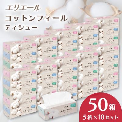 ふるさと納税 島田市 エリエール コットンフィールティシュー150W5箱×10セット