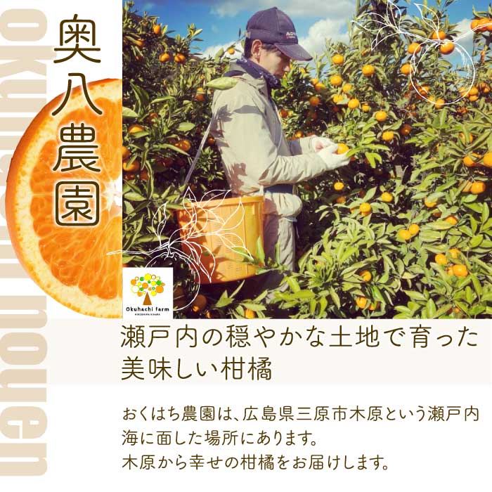 【おくはち農園】〈訳あり〉はるみ 4.5kg  《2027年2～3月発送予定》栽培期間中 防腐剤 ワックス 不使用 旬 柑橘 かんきつ フルーツ 果物 瀬戸内 166008 
