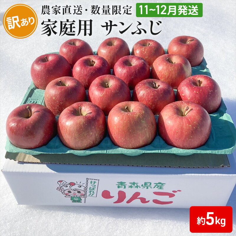 【ふるさと納税】【農家直送・数量限定】 11～12月発送 家庭用 サンふじ 約5kg 【訳あり】 果物 フルーツ 青森りんご シャキシャキ 　お届け：2025年11月中旬～2025年12月中旬まで
