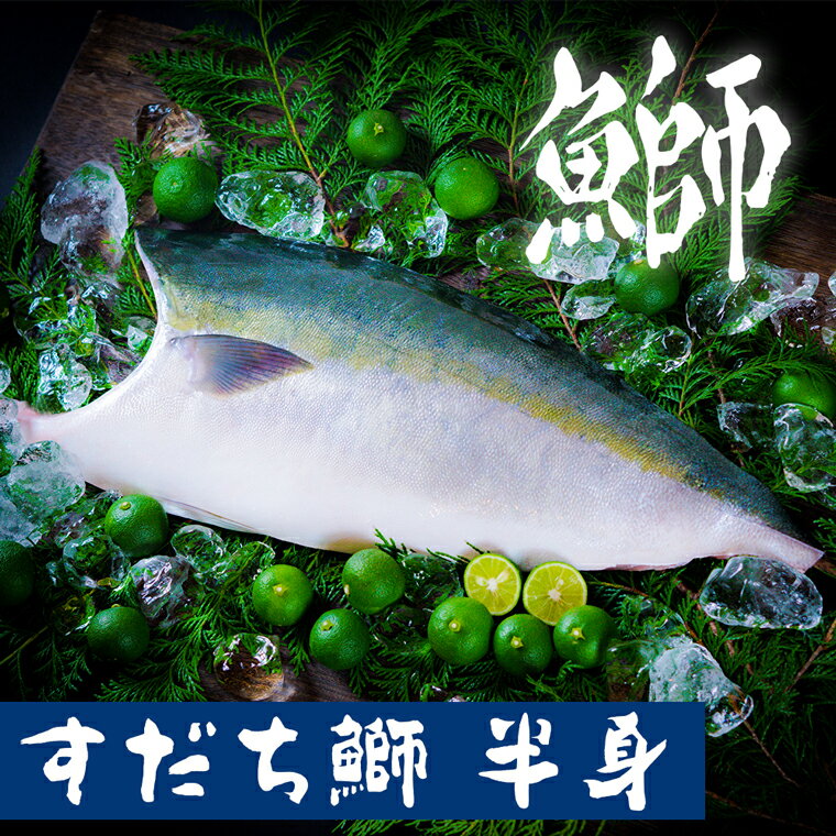 【ふるさと納税】ぶり 《 すだちブリ 》 【 期間限定・申込は12月14日まで 】徳島県産 ぶり 半身約 1.5kg ブリ ブランド鰤 鳴門 | 送料無料 刺身 真空パック クール便 すだちブリ 鳴門北灘漁場 ビタミンE 抗酸化作用 すだち鰤 国産