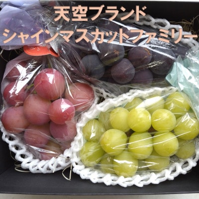 【2026年先行受付】牧丘天空ブランド　皮ごと食べられるぶどう3色詰め合わせ 約1kg(3房)【配送不可地域：離島】