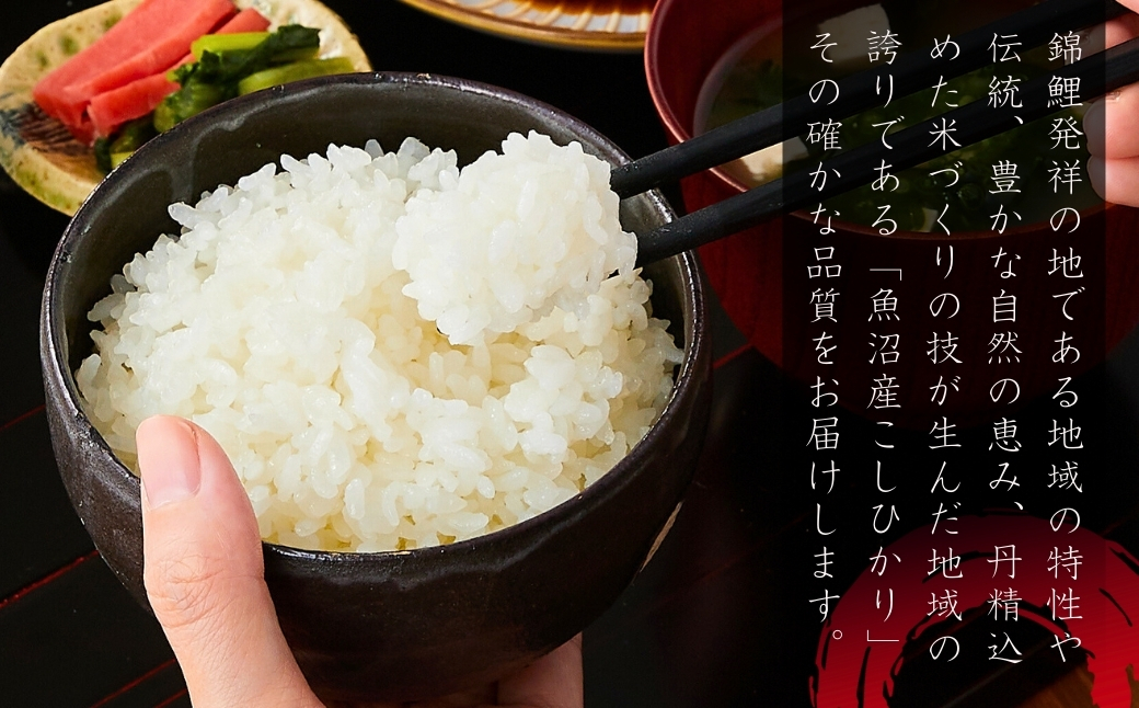 【令和7年産 定期便】魚沼産コシヒカリ 計60kg(5kg×2袋×毎月全6回） 白米 精米 新潟県産 米萬【0002-KM07DB00-02】