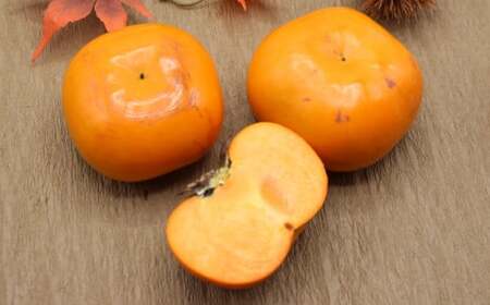 福岡県ブランド柿「秋王」約1.2kg 3Lサイズ 4玉入り 柿 カキ かき 果物 くだもの フルーツ 【2025年10月下旬～11月下旬発送予定】