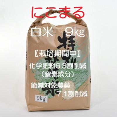 ふるさと納税 諫早市 【令和7年産】 特別栽培米・九州のこだわり米「にこまる」　白米9kg