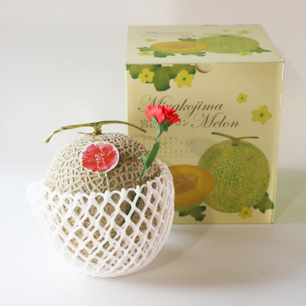 【沖縄フルーツ定期便】母の日ギフトのメロン＆夏ギフトマンゴー｜全2回｜宮古島産 ＜琉球マルシェ＞