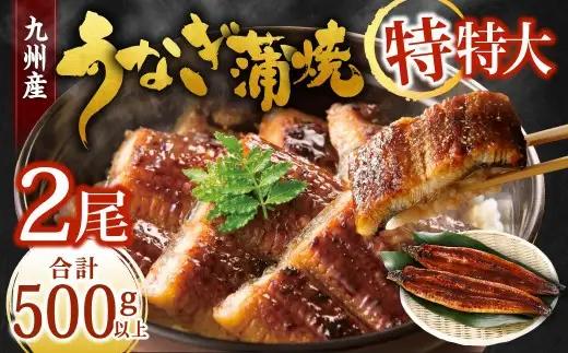【土用の丑の日にお届け】九州産 うなぎ蒲焼 特特大2尾 (1尾あたり250～266g) 合計500g以上