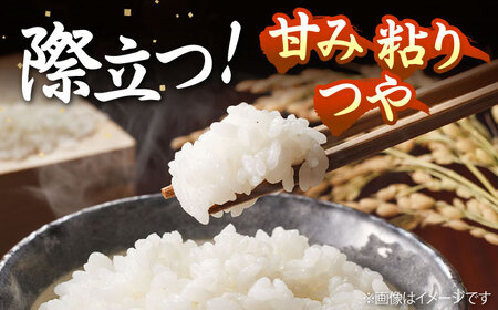 【全3回定期便】 壱岐産米 つや姫（特別栽培米）1等米  5kg 《壱岐市》【長米壱岐営業所】[JCZ029]