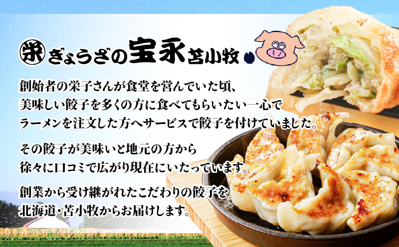【定期便・全6回 毎月】手包み餃子 ぎょうざの宝永 5種食べ比べセット（65個入）　T004-T07-04