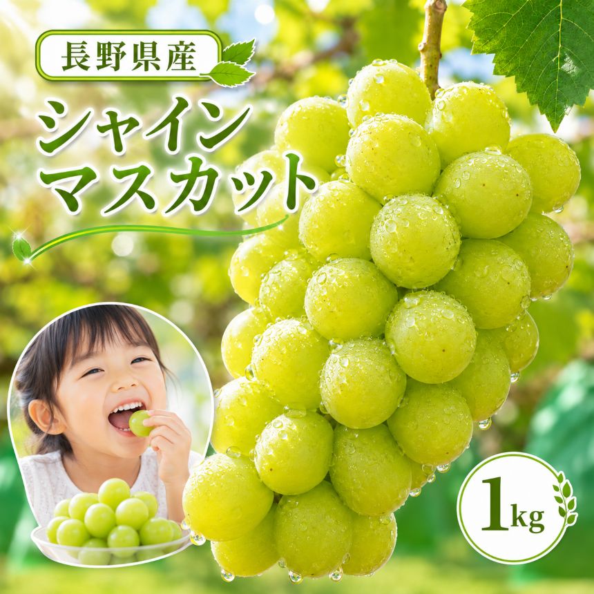 【ふるさと納税】農家直送 シャインマスカット 1kg【2026年先行予約】 | 果物 くだもの フルーツ ぶどう 葡萄 新鮮 信州 南信州 長野県 飯田市