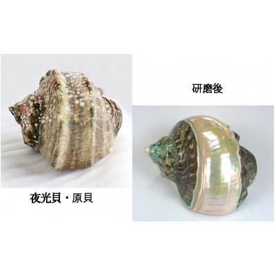 ふるさと納税 与論町 夜光貝と淡水パールを素材にした「ネックレス」貝工房かざはな【NR-3】 |  | 03