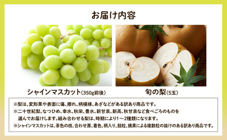 955.【先行予約】【訳あり】シャインマスカット（350ｇ前後）と旬の梨（5玉）セット ※8月下旬頃～9月中旬頃に順次発送【ぶどう マスカット 葡萄 なし 果物 フルーツ くだもの 鳥取県 北栄町】