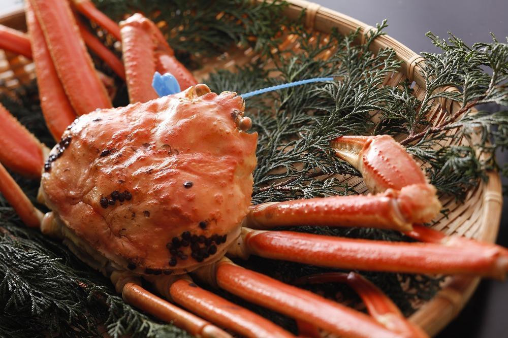 
            【先行予約】【kinosaki spa&gardens　湯楽使用】タグつき選べる松葉ガニ　釜茹で or 活､800g or 1kg
          