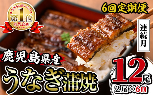 i938-A ＜定期便・計6回(連続月)＞鹿児島県産うなぎ蒲焼2尾セット＜(約140g×2・計約280g)×全6回＞定期便 うなぎ 鰻 ウナギ 2尾 蒲焼き 国産 鹿児島県産 焼きたて 生産量日本一 真空パック おかず 晩御飯 特別な日 【薩摩川内鰻】