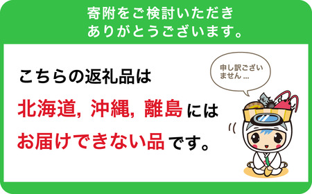 霜降り鯨肉/熟成尾肉（尾の身）切り落とし500g【訳あり不揃い】 mi0012-0045