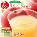 【ふるさと納税】りんごジュース☆果汁100%・10本入り