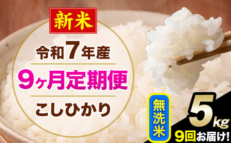 新米 令和7年産 【9ヶ月定期便】 こしひかり 5kg 無洗米 熊本県産(南阿蘇村産含む) 単一原料米 南阿蘇村 産 米 定期便《お申込月の翌月から出荷開始》