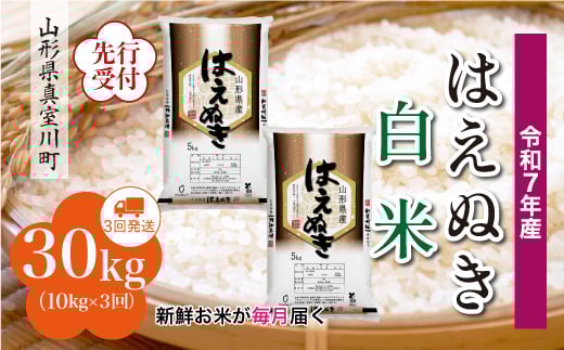 ＜令和7年産米先行受付＞ 真室川町産 はえぬき 【白米】 定期便 30kg （10kg×1ヶ月間隔で3回お届け）＜配送時期指定可＞