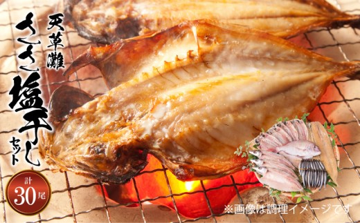 S011-022_天草灘ささ塩干しセット(天然鯛、あじ、カマスのささ塩干し等)