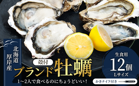 厚岸産牡蠣 Lサイズ 12個 生食用 かき 牡蠣