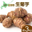 【ふるさと納税】土付き菊芋(赤) 約3kg　芋 菊芋 いも 野菜 根菜 天ぷら サラダ 煮物 ふるさと 北海道 遠別町