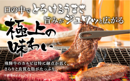 飛騨牛 焼肉用 カルビ 結旨豚 ロース 焼肉用 各450g 計900g 食べ比べ セット ゆいうまぶた ブランド豚 A4 A5 等級 飛騨牛 国産牛 牛肉 国産豚 豚肉 白川郷 てんから 焼き肉 BB