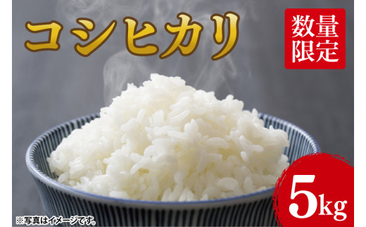 米 コシヒカリ 精米 5kg 令和8年産 こめ こしひかり 茨城県産 農家直送 先行予約 単一米 単一原料米 茨城県 阿見町 【2026年10月中旬より順次発送】（68-01）