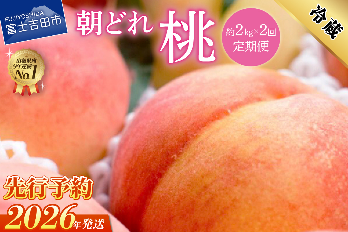 【2026年先行予約】【2回定期便】山梨朝どれ桃2kg×2回配送（白鳳系・白桃系）