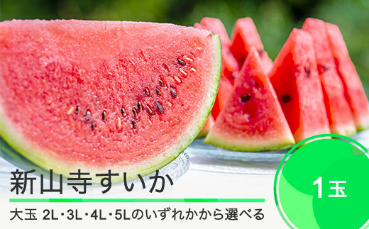 
新山寺すいか 選べる 大玉 2L・3L・4L・5L 2024年産 令和6年産 山形県産 大石田町 すいか yd-suoxx
