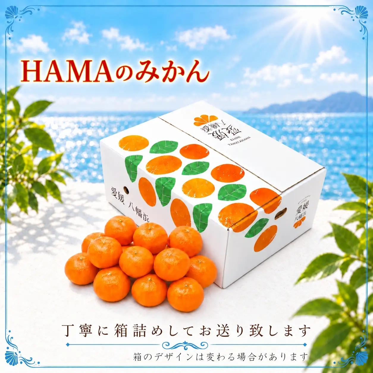 【先行受付】ミネラルを運ぶ潮風に吹かれ甘く育ったみかんを厳選　完熟「HAMAのみかん」　正味約５ｋｇ【39-95】YWTF070