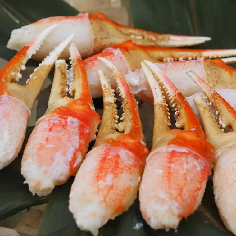 ボイル ずわいがに 爪 400g かに かに爪 _AP027